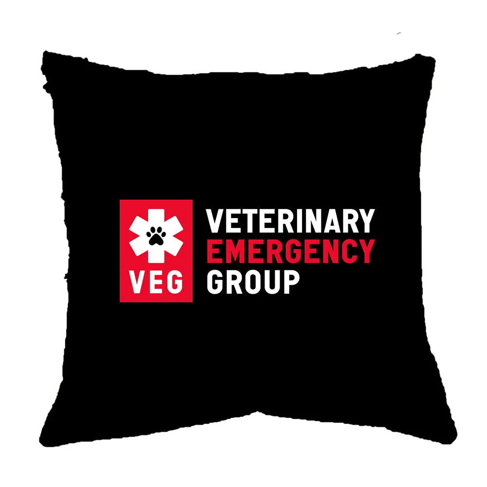 18 X 18 Logo Pillow