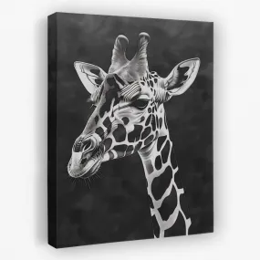 Black and White Giraffe