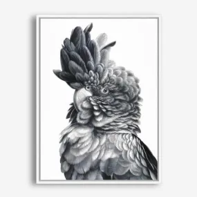 Black Cockatoo Close-Up Canvas Print