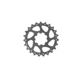 Campagnolo 10S-333 Sprocket For 10 Speed Cassette - Silver