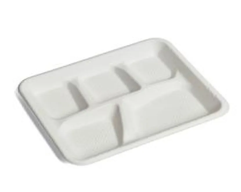 Durable White Bagasse Tray 5 Compartment for School White