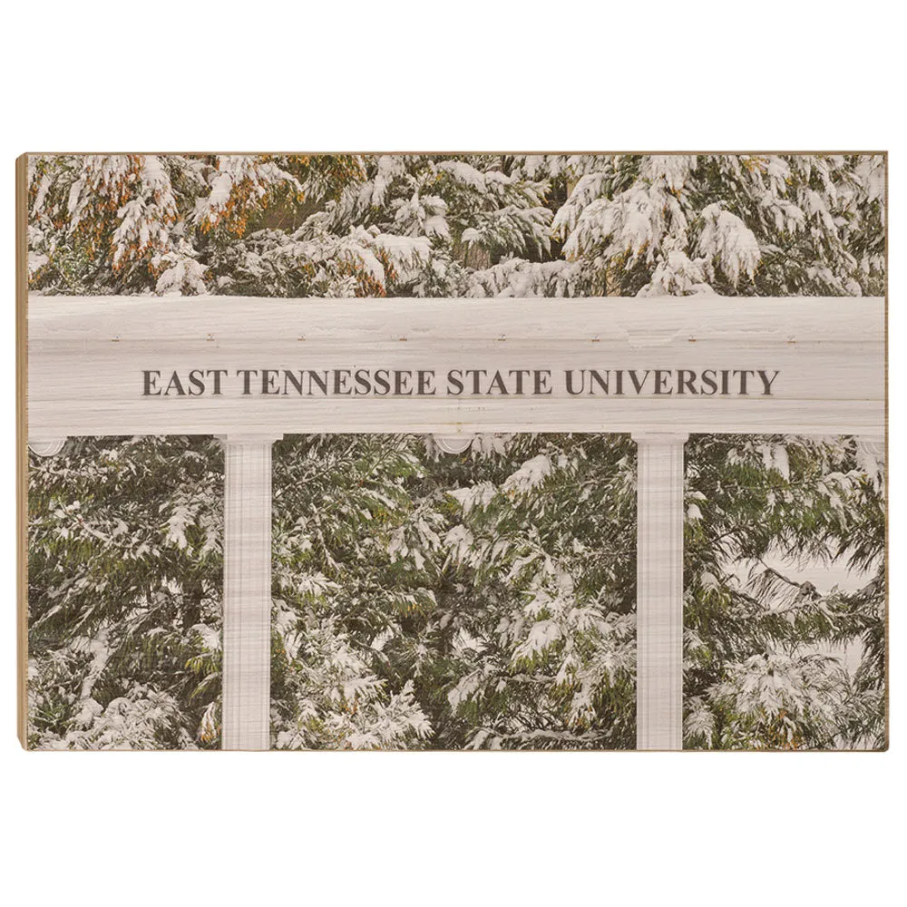 ETSU - East Tennessee Snow