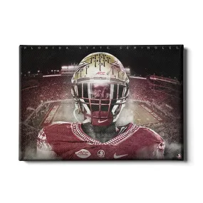 Florida State Seminoles - Seminole