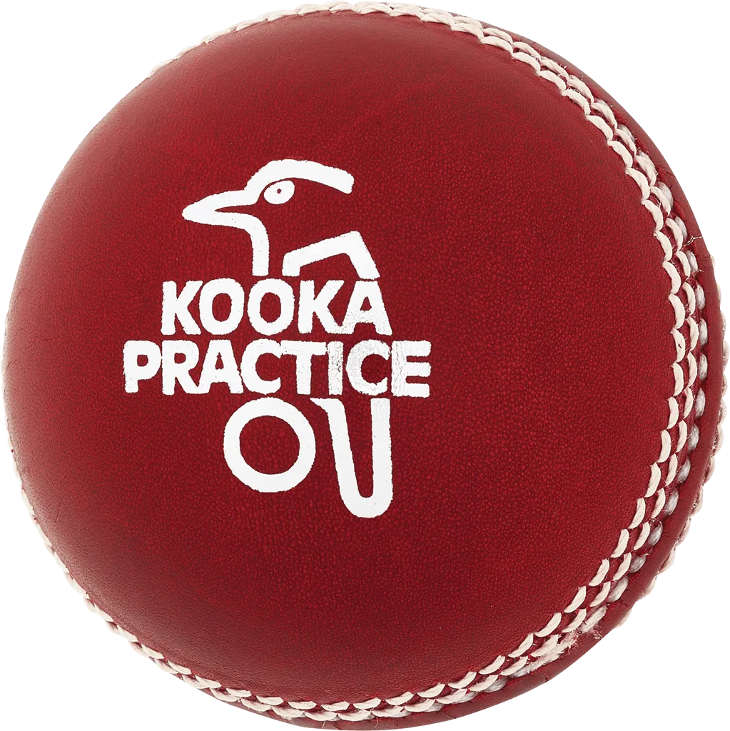 Kookaburra 156g Practice Cricket Ball