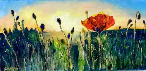 Poppy in Oil