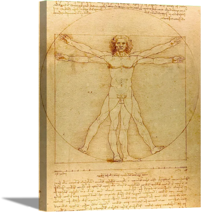 The Vitruvian Man | Leonardo da Vinci Masters Classic Art in Gallery Wrapped Canvas | Various Sizes