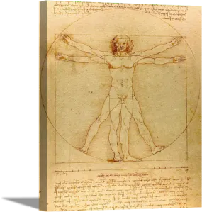 The Vitruvian Man | Leonardo da Vinci Masters Classic Art in Gallery Wrapped Canvas | Various Sizes